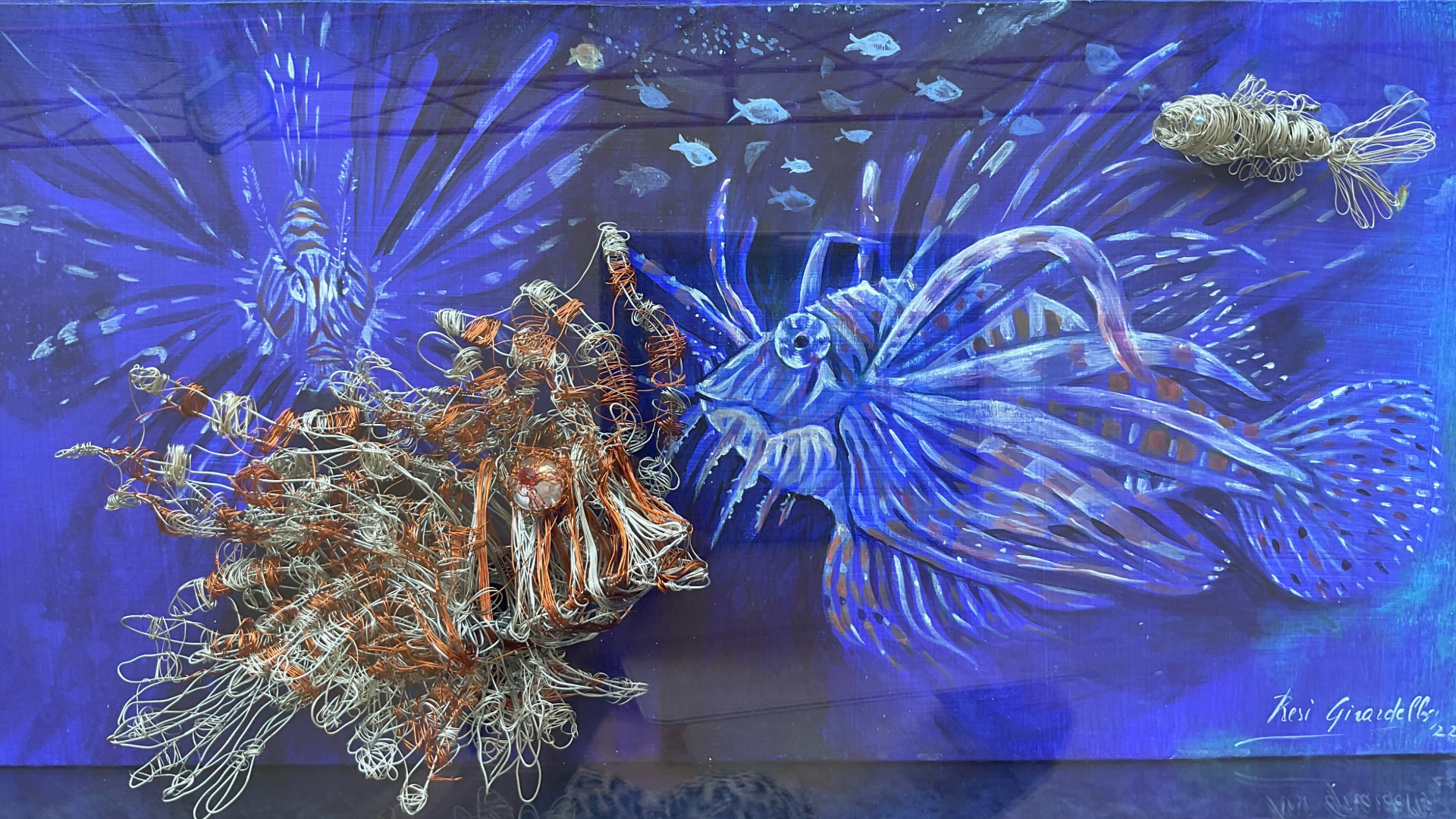 Alla scoperta dell’Acquario Civico di Milano: la mostra Mondi Sommersi 